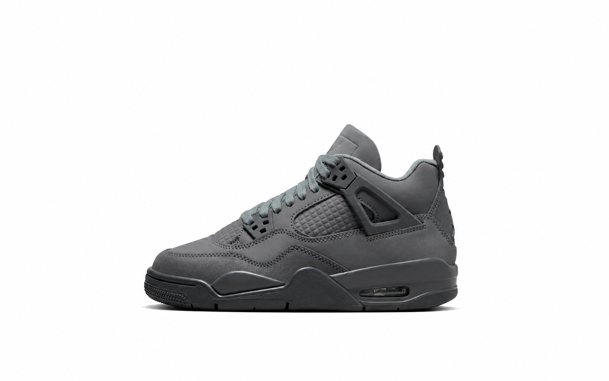 Air Jordan 4 SE Wet Cement — Grey