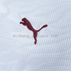 Fluminense 26/27 Away Player Version Jersey