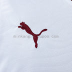 Fluminense 26/27 Away Jersey