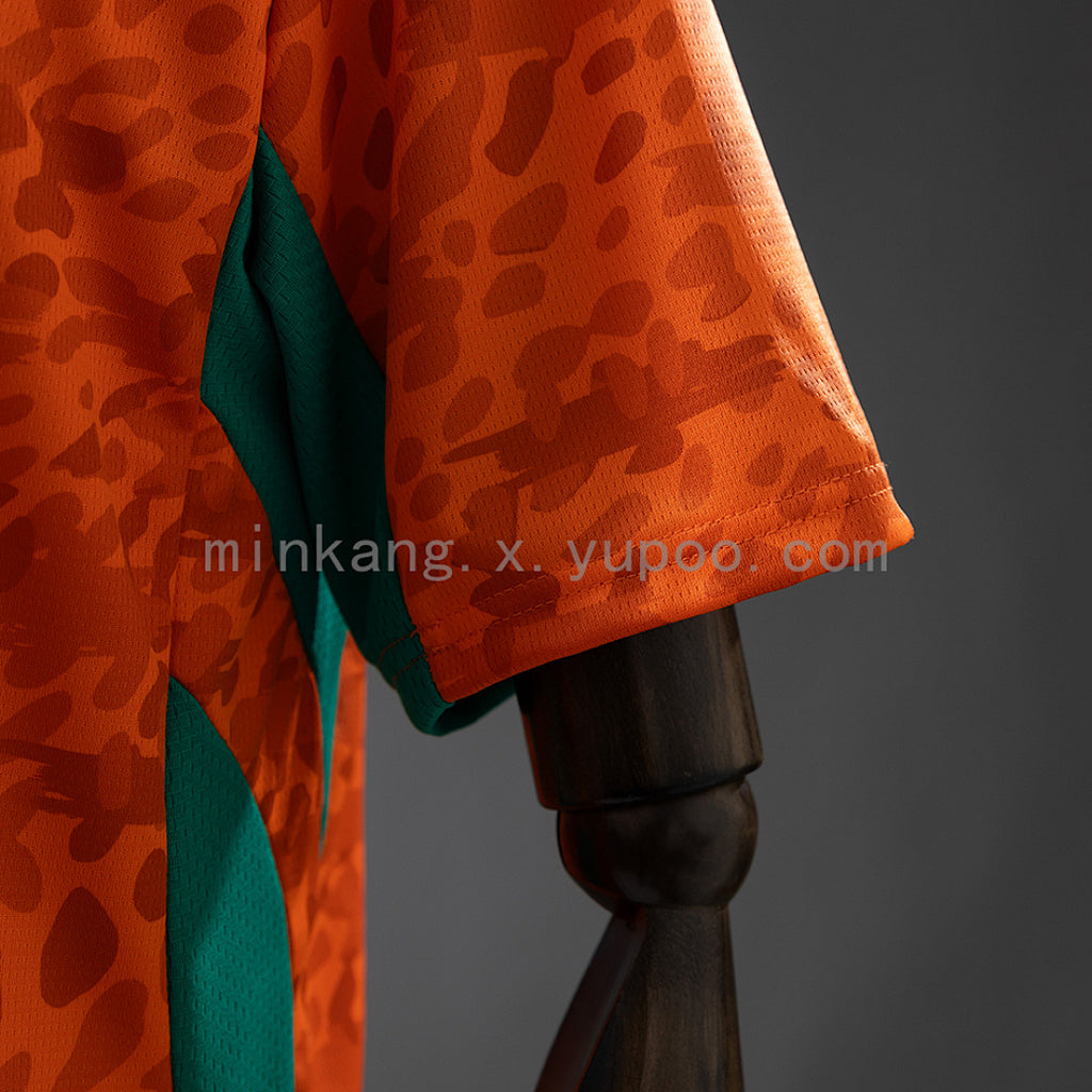 Ivory Coast 26/27 Home Jersey